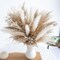 Fluffy Dired Reed Grass, Boho Decor, Pampas Grass Bulk(White & Brown)